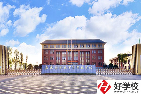 嘉禾縣職業中等專業學校實力如何？