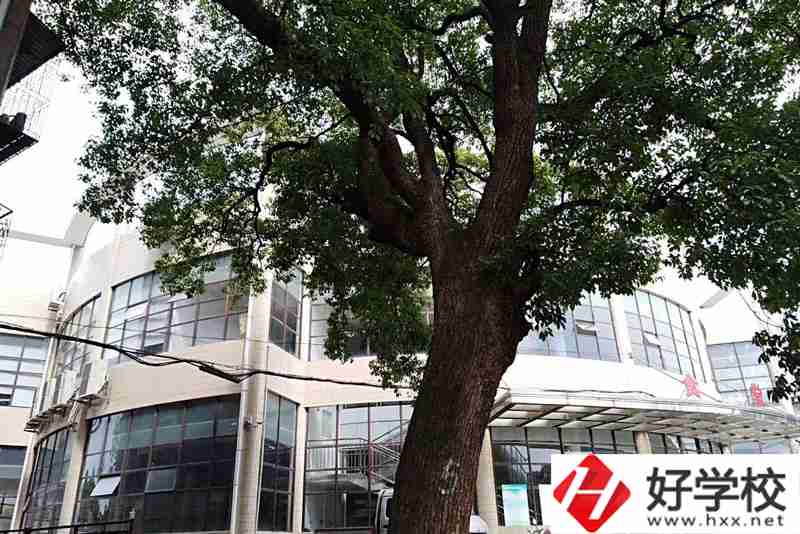 衡陽排名前三的職業學校你知道有哪幾所？
