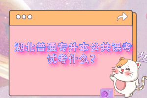 湖北普通專升本公共課考試考什么？
