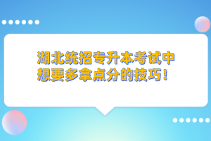 湖北統招專升本的學歷和本科學歷考公務員一樣嗎？