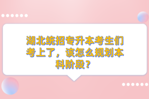 湖北統招專升本考生們考上了，該怎么規劃本科階段？