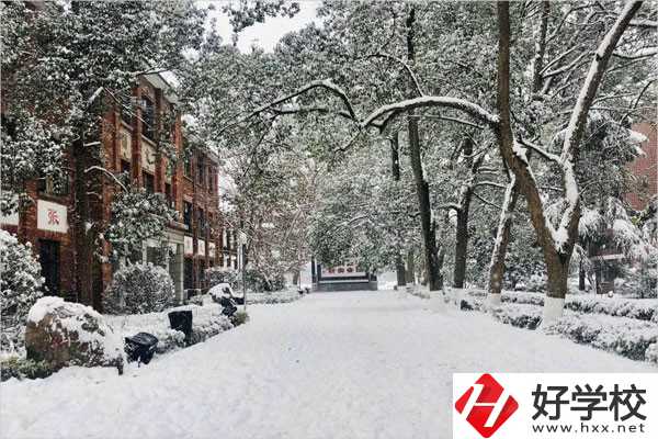 懷化市振華職業學校校園風景
