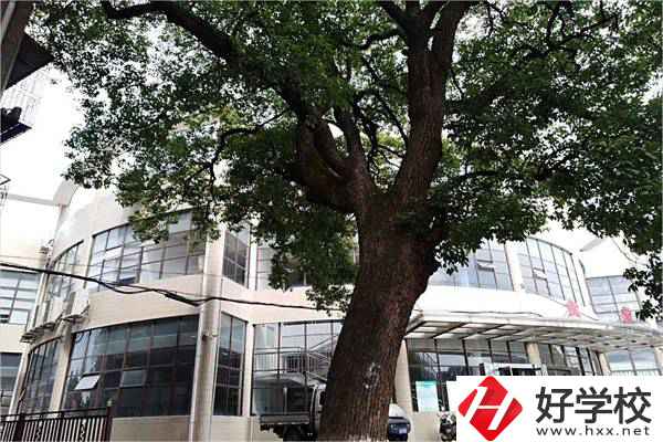 衡陽市職業中等專業學校食堂