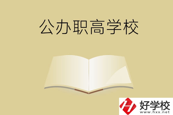 懷化公辦的職高學校有哪些？