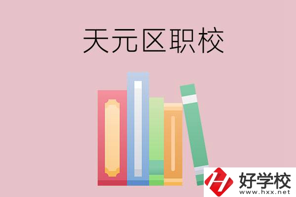 株洲市天元區的職校有哪幾所？