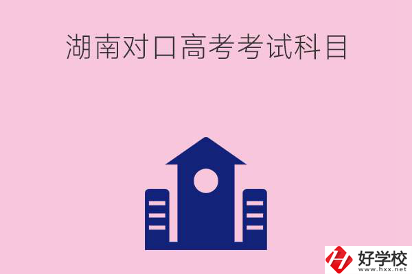 湖南中職生對口高考考試科目都有哪些？考試難不難？