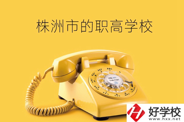 株洲市有哪些職高學校？
