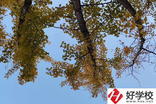 株洲有哪些比較好的中專學校？