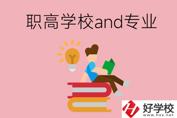 湖南省有哪些職高學校？開設了什么專業？