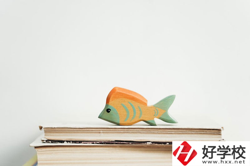 長沙市英藍中等職業學校學費多少？貴不貴？