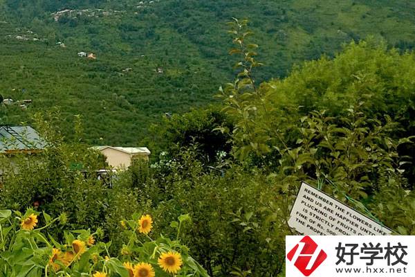 長沙公辦中職學校好不好？都有哪些學校？