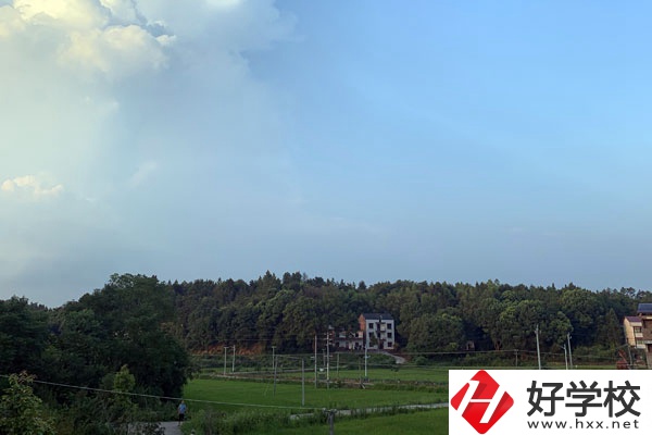 株洲的中專有哪些專業比較熱門？
