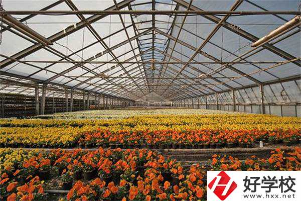 園藝技術專業好就業嗎？永州有開設該專業的公辦學校嗎？