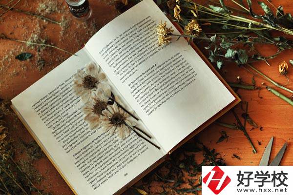 張家界市高級技工學校是公辦院校嗎？有哪些專業？