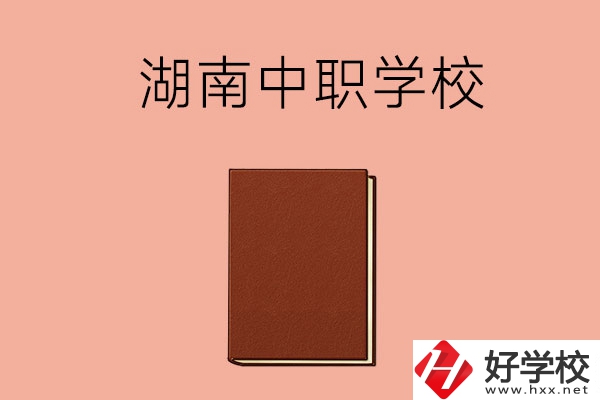 湖南有哪些就業率比較高的中職學校？