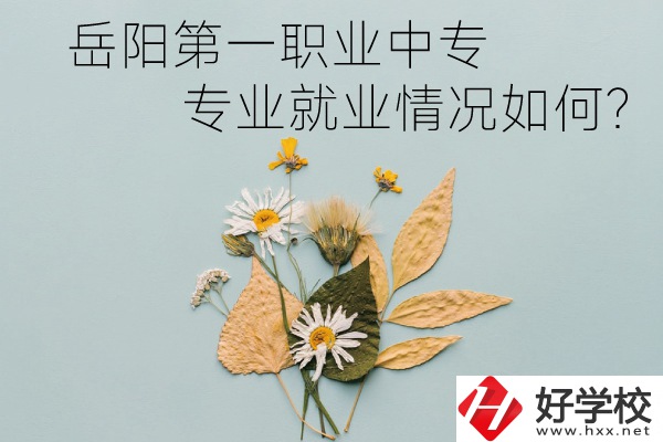 岳陽第一職業中專有哪些專業?就業情況如何?