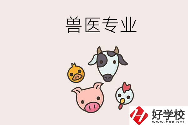 湖南哪些職校能學獸醫專業？學獸醫前景怎么樣？