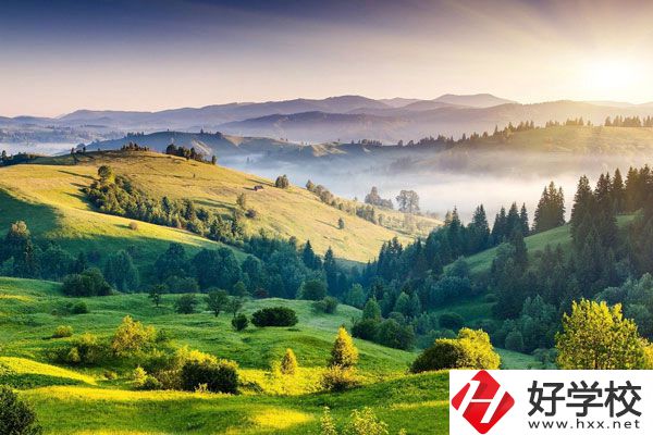 衡陽的中專學校有哪些新開設的專業？