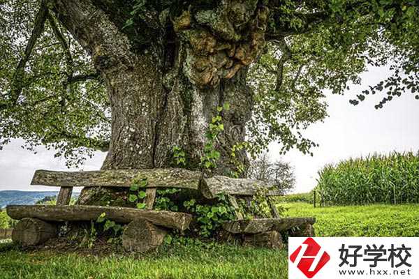 湖南特教中等專業學校有哪些特色專業？有資助政策嗎？