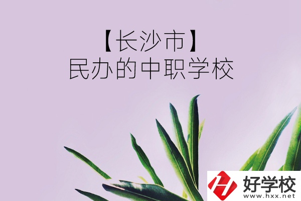 長沙市有哪些民辦的中職學校？