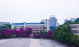 成都華大醫藥衛生學校