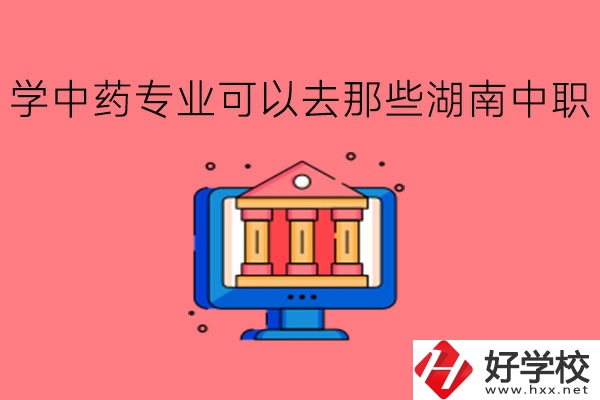 學中藥專業可以去那些湖南中職?