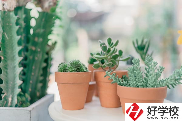 瀏陽市三聯工業學校辦學條件怎么樣？