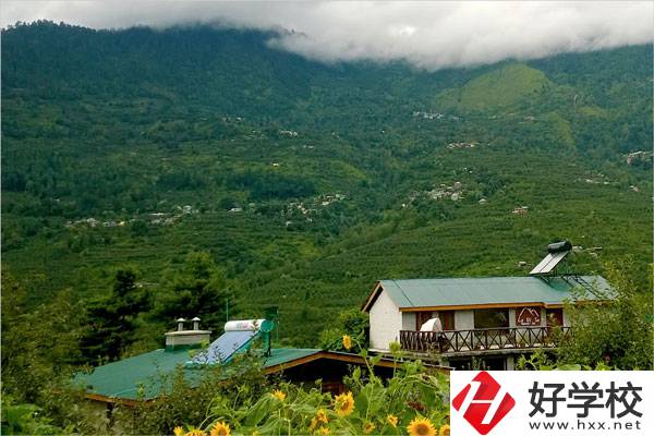 益陽大誠職業學校的專業怎么樣？就業方向如何？