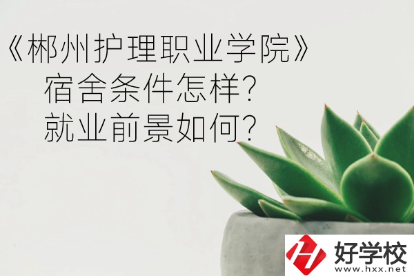 郴州護理職業學院宿舍條件怎樣？就業前景如何？