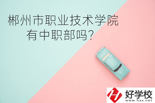 郴州市職業技術學院有中職部嗎？
