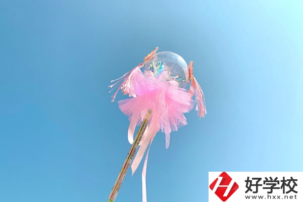 邵陽縣有什么中專學校？師資力量如何？