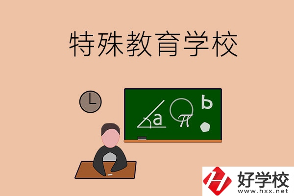 湖南省有哪些特殊教育學校？