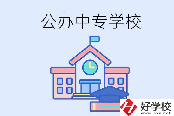 湘西一共有多少所公辦的中專學校？