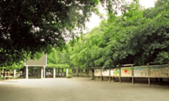 四川交通運輸職業學校(四川交通技師學院)