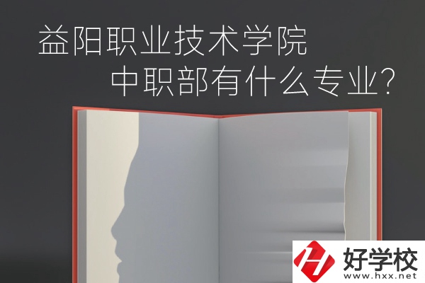 益陽職業技術學院中職部有什么專業？