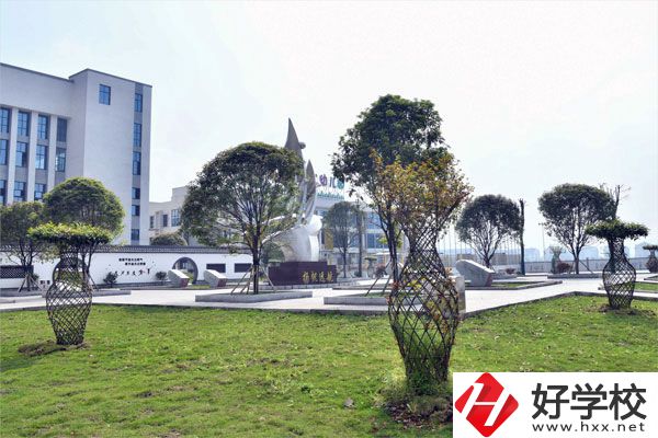 桃江縣揚帆職業技術學校風景
