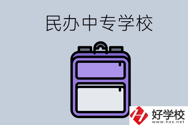 郴州有哪些辦學條件比較好的民辦中專？