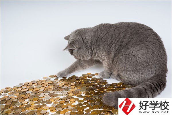 邵陽的職高一年學費是多少？比較便宜的學校有哪些？