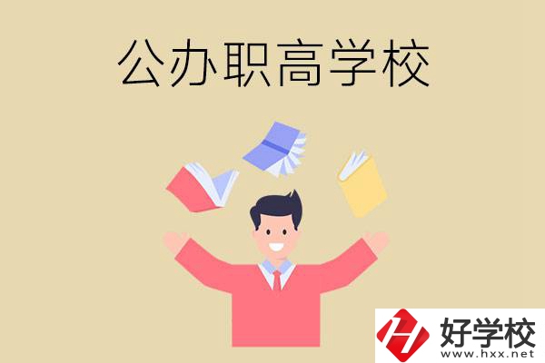 婁底公辦的職高學校有幾所？