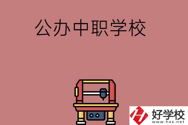 長沙可以學計算機應用專業的公辦中職學校有哪些？