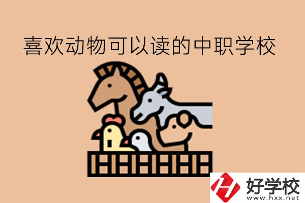 喜歡動物的學生，可以讀這些中職學校!