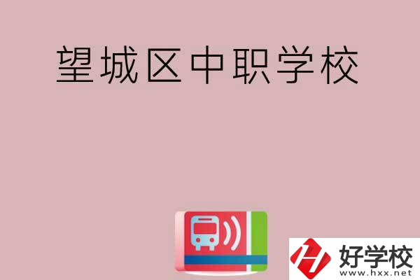 長沙望城區有哪些中職學校？