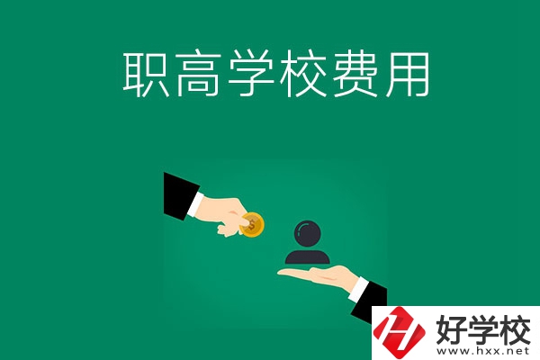 上懷化的公立職高學校要多少費用？
