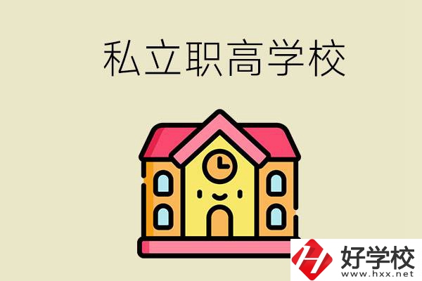 永州私立職高有哪些開設了電子技術應用專業？