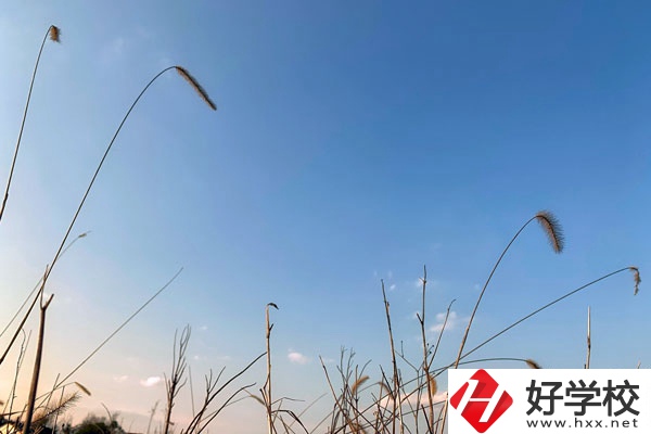 邵陽市護理職校是一所怎樣的學校？