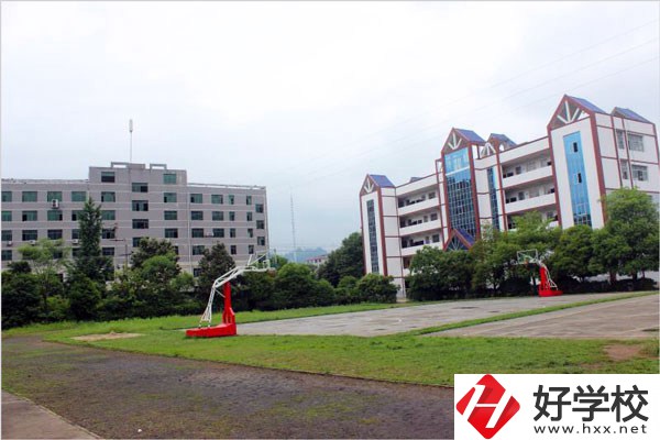 城步苗族自治縣職業中專學校開設了哪些專業？
