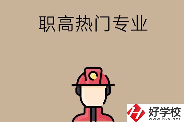 邵陽的職高有哪些熱門專業？