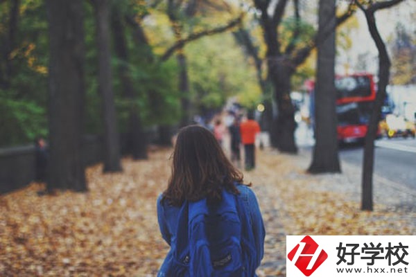 衡陽市職業中等學校計算機應用專業好不好？