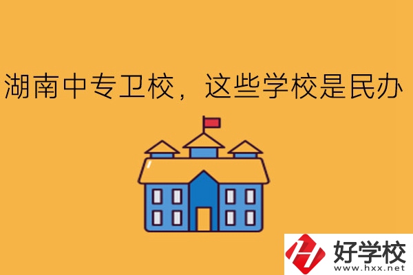 湖南中專衛校，這些學校是民辦!