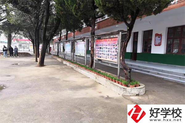 岳陽有沒有升學率高的民辦職高？職高能升學是真的嗎？